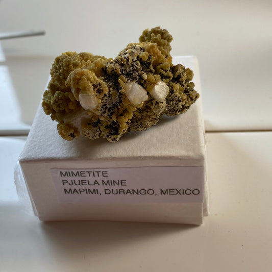 MIMETITE WITH CALCITE - OJUELA MINE, DURANGO, MEXICO 48g MF2075