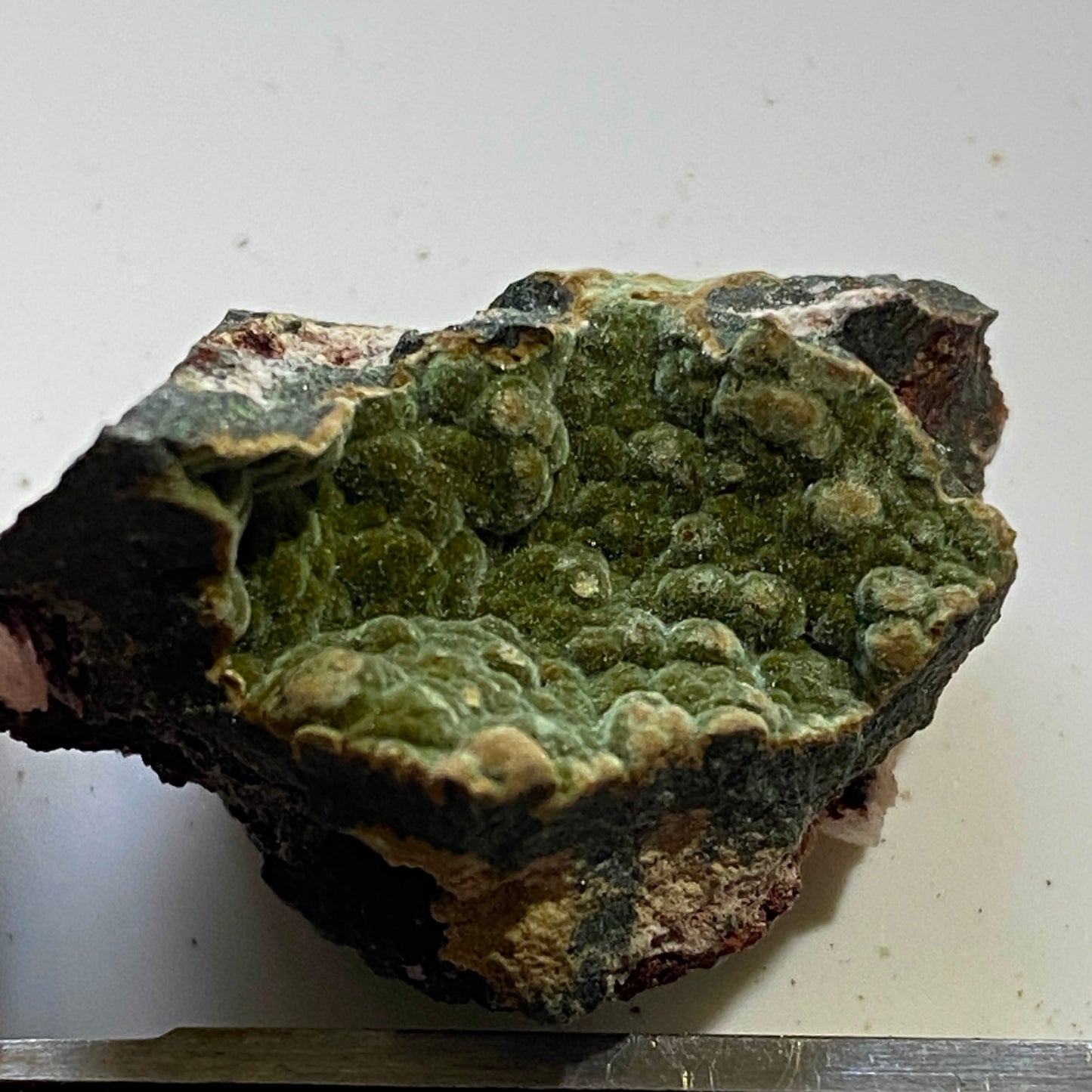 KOLWEZITE : MUPINE MINE, KOLWEZI, KATANGA, ZAIRE [D.R.C.] 11g MF1753