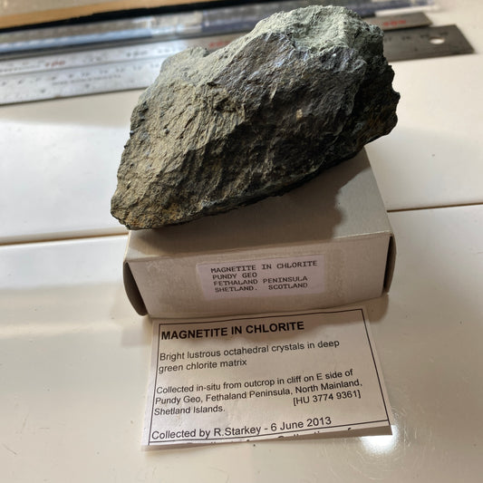 MAGNETITE IN CHLORITE SCHIST : PUNDY GEO, SHETLAND, SCOTLAND 362g  MF5271