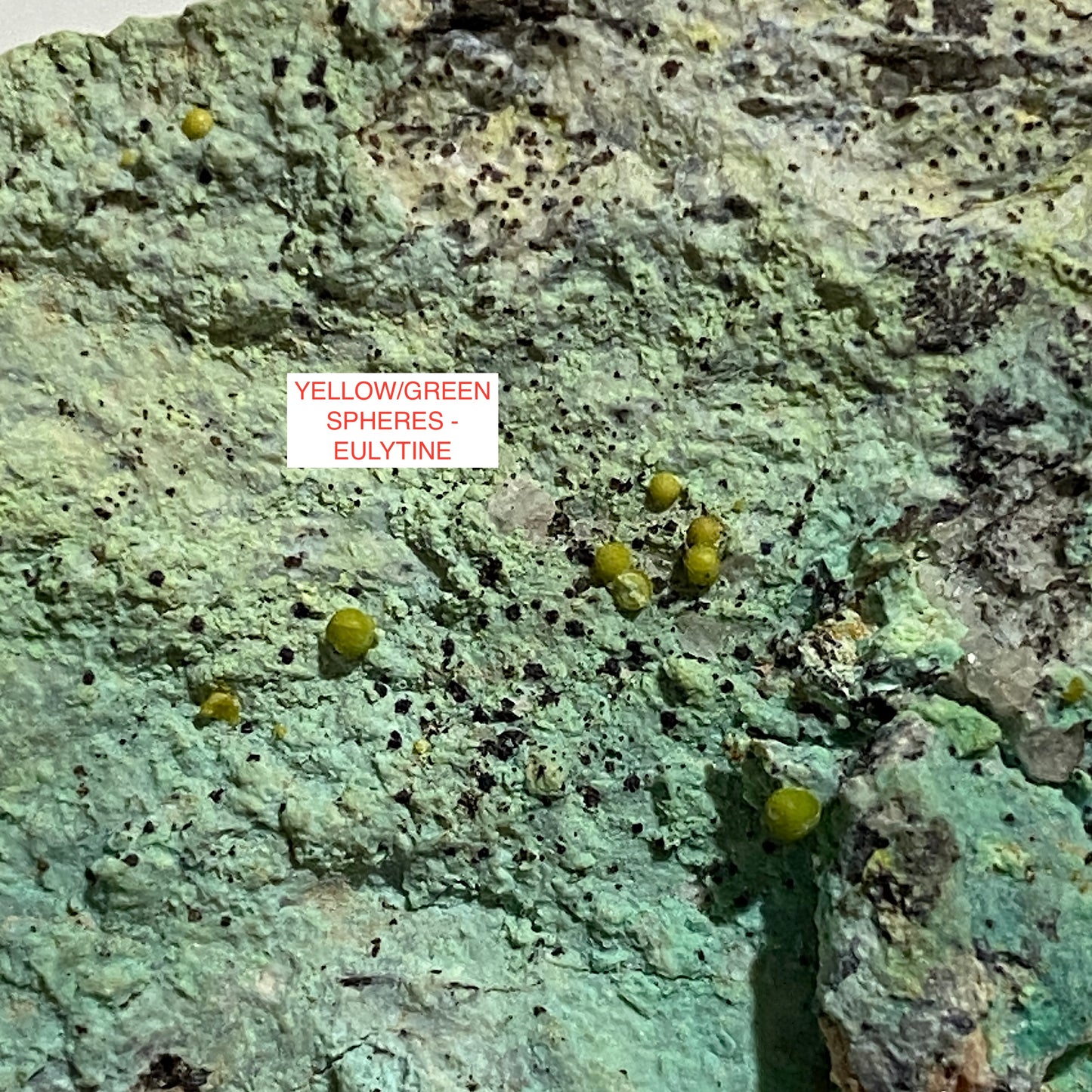 EULYTINE [EULYTITE] ON CHRYSOCOLLA [ETC] : HECHTSBERG QUARRY, HAUSACH, GERMANY 52g MF4640