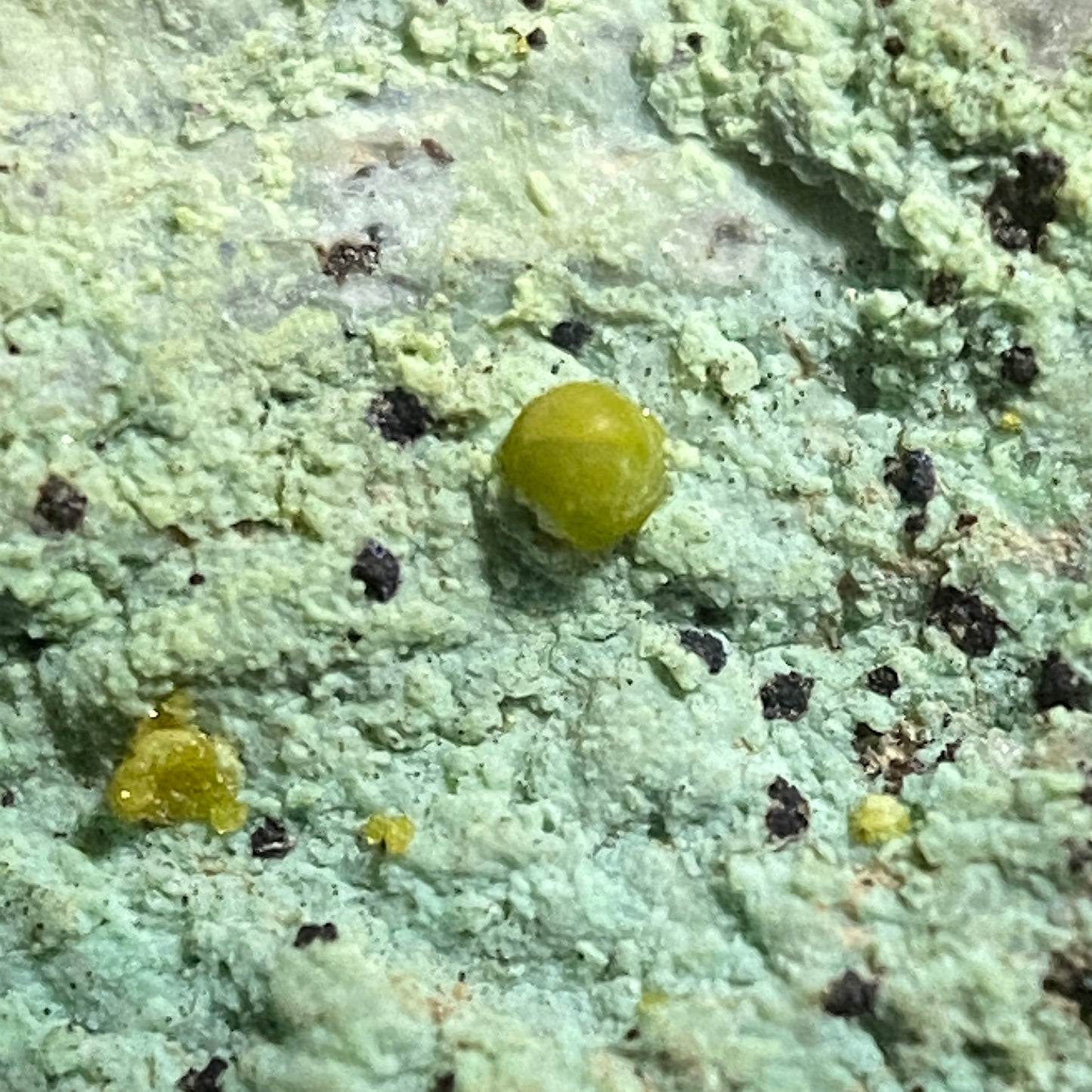 EULYTINE [EULYTITE] ON CHRYSOCOLLA [ETC] : HECHTSBERG QUARRY, HAUSACH, GERMANY 52g MF4640