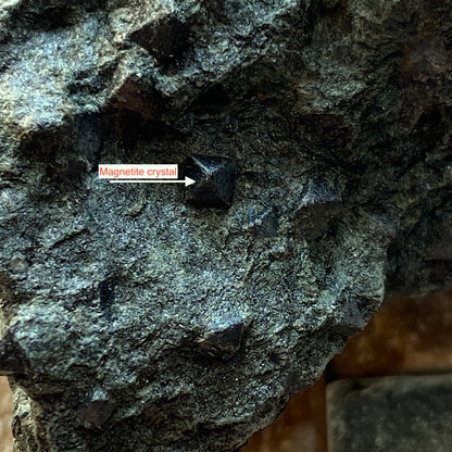 MAGNETITE IN CHLORITE SCHIST : PUNDY GEO, SHETLAND, SCOTLAND 362g  MF5271