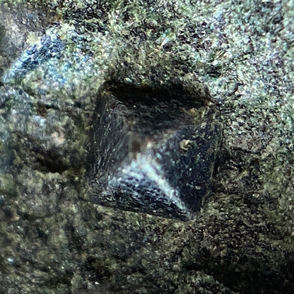 MAGNETITE IN CHLORITE SCHIST : PUNDY GEO, SHETLAND, SCOTLAND 362g  MF5271