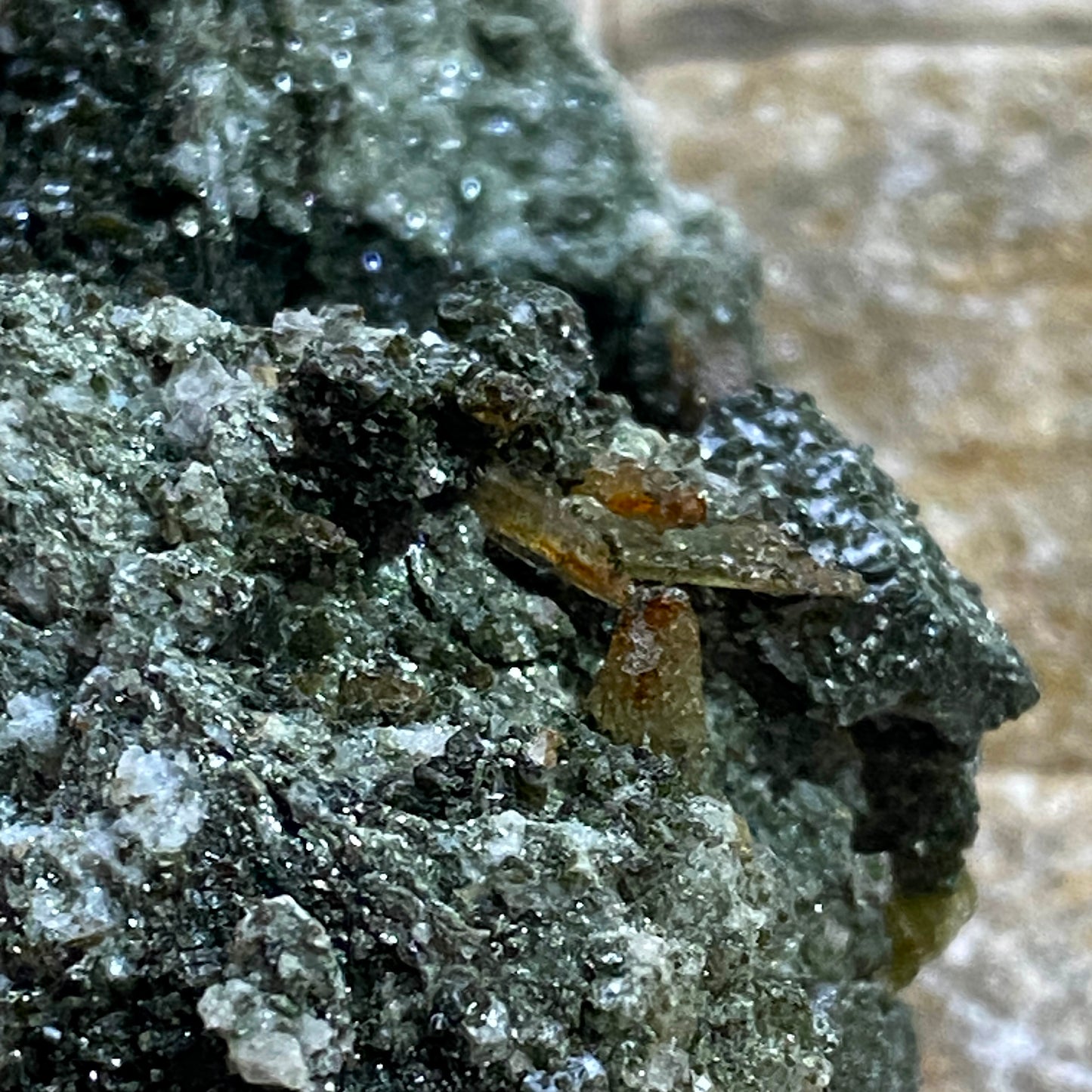 SPHENE/ADULARIA/CHLORITE [ETC] : FELBER VALLEY, MITTERSILL, AUSTRIA 45g MF4628