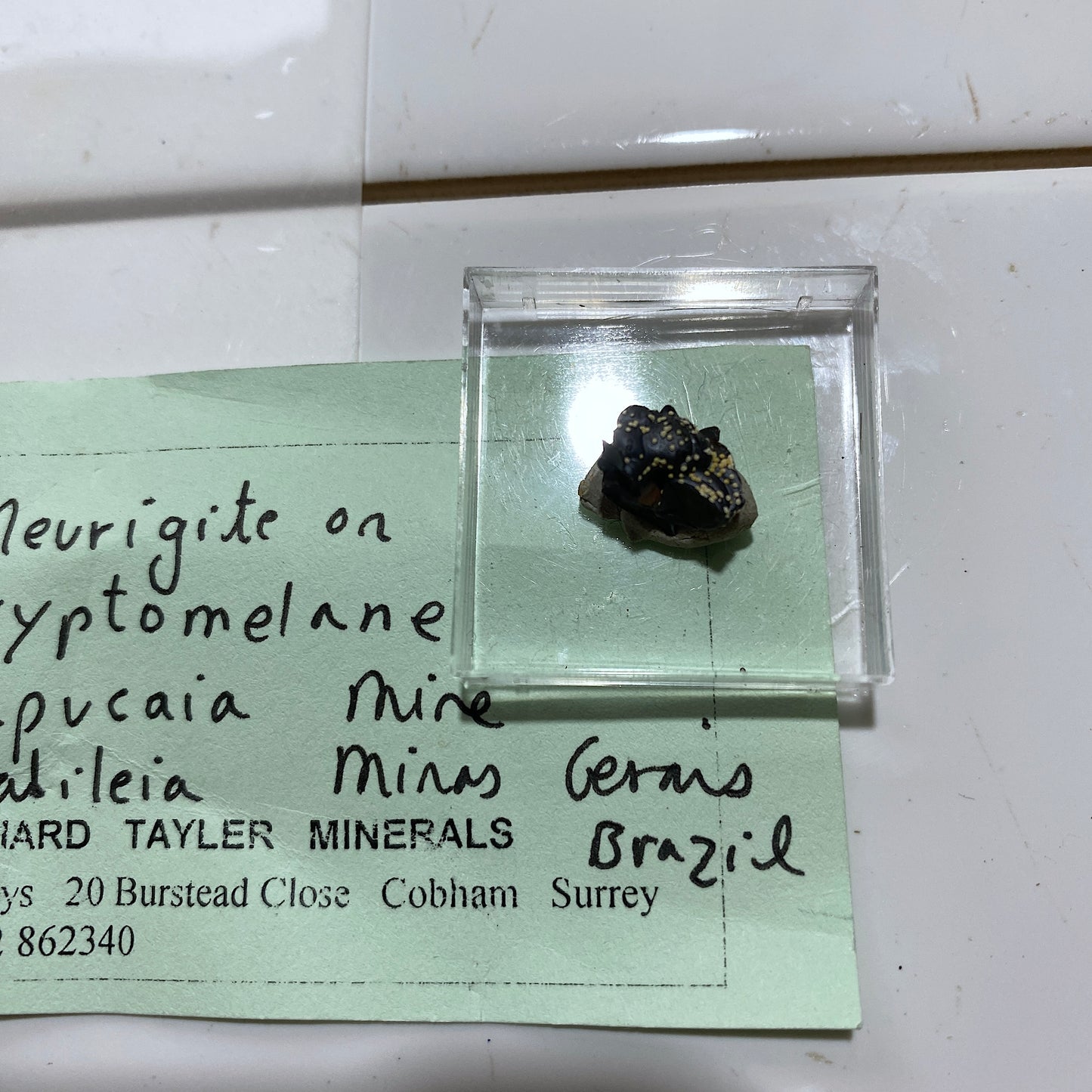 MEURIGITE ON CRYPTOMELANE : SAPUCAIA MINE, MINAS GERAIS, BRAZIL  MF4647