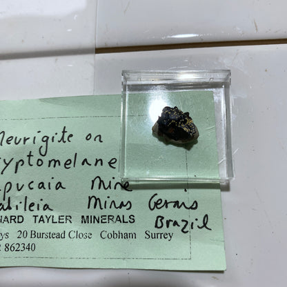 MEURIGITE ON CRYPTOMELANE : SAPUCAIA MINE, MINAS GERAIS, BRAZIL  MF4647