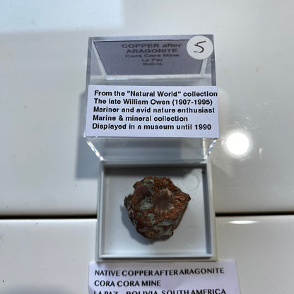 RARE NATIVE COPPER AFTER ARAGONITE : CORO CORO MINE, LA PAZ, BOLIVIA 10g MF5277