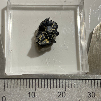 MEURIGITE ON CRYPTOMELANE : SAPUCAIA MINE, MINAS GERAIS, BRAZIL  MF4647