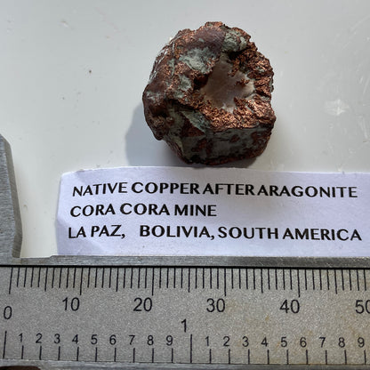 RARE NATIVE COPPER AFTER ARAGONITE : CORO CORO MINE, LA PAZ, BOLIVIA 10g MF5277