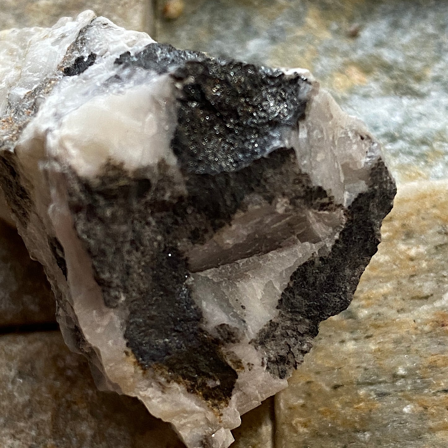 TENNANTITE : GORTDRUM MINE, MONARD, TIPPARARY, IRELAND. 19g MF5278
