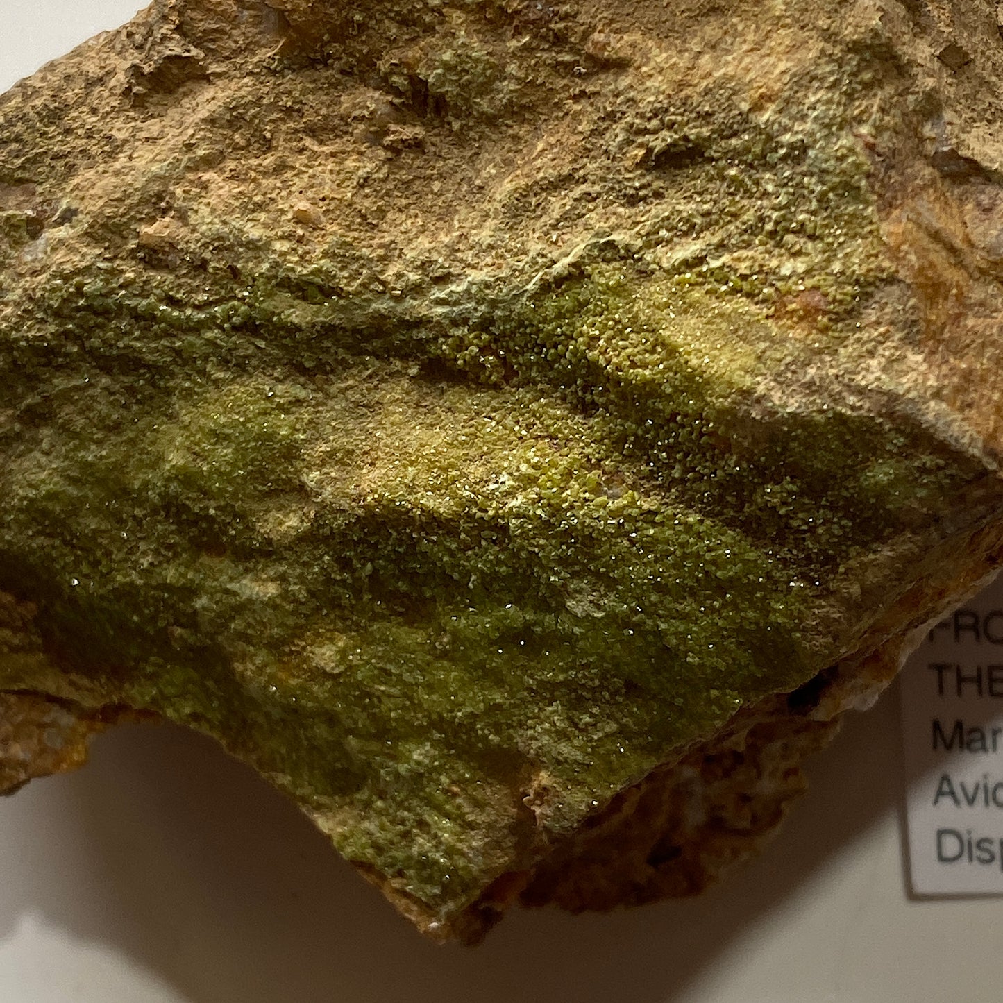 PYROMORPHITE ON MATRIX : HARD RIGG EDGE, OUSBY, EDEN, CUMBRIA  380g MF5279