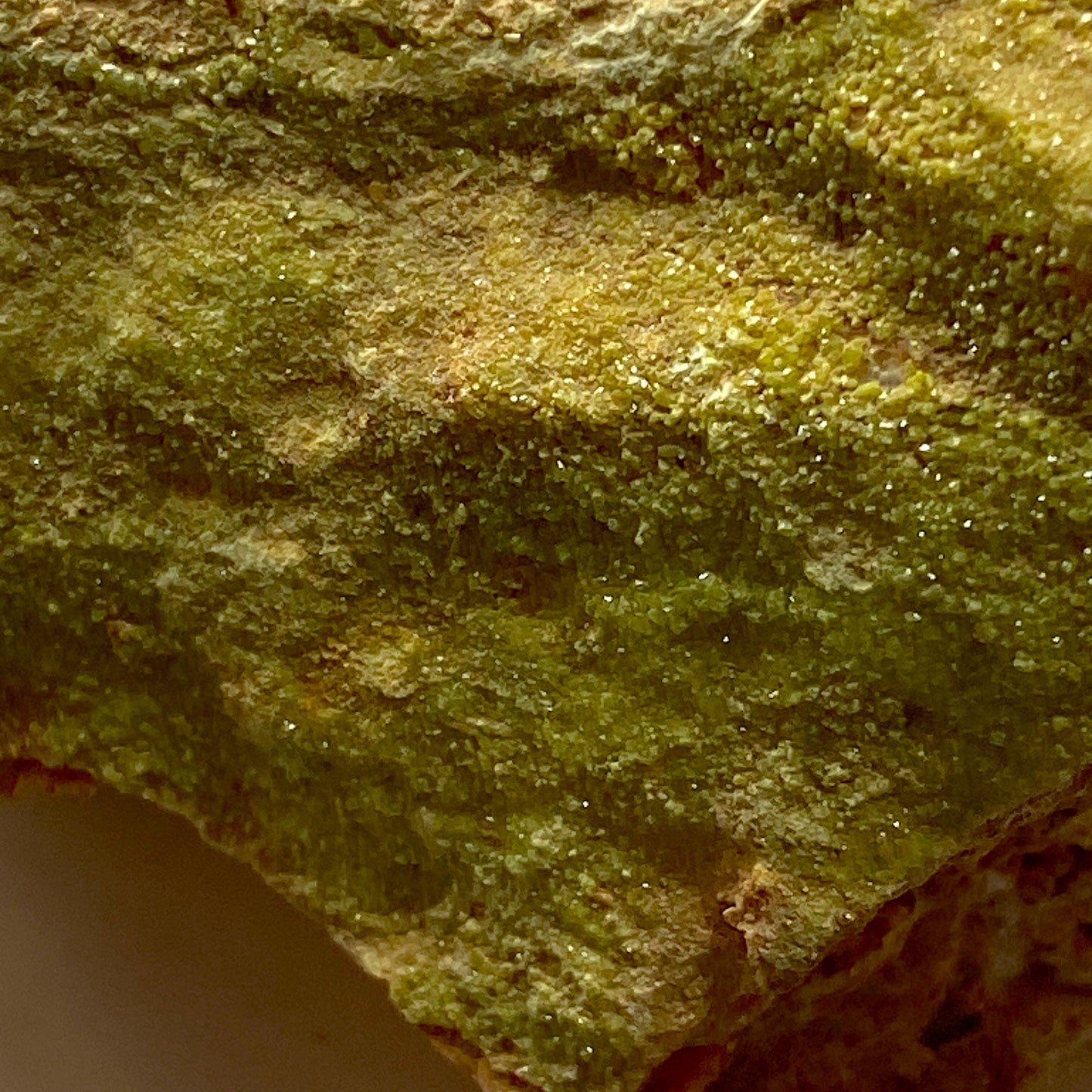 PYROMORPHITE ON MATRIX : HARD RIGG EDGE, OUSBY, EDEN, CUMBRIA  380g MF5279