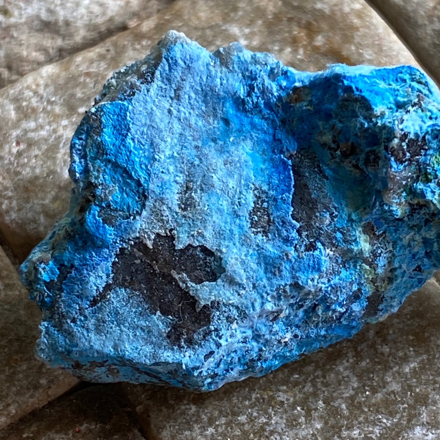 CHRYSOCOLLA ETC FROM L'ETOILE DU CONGO MINE, D.R.C. 8g MF1393