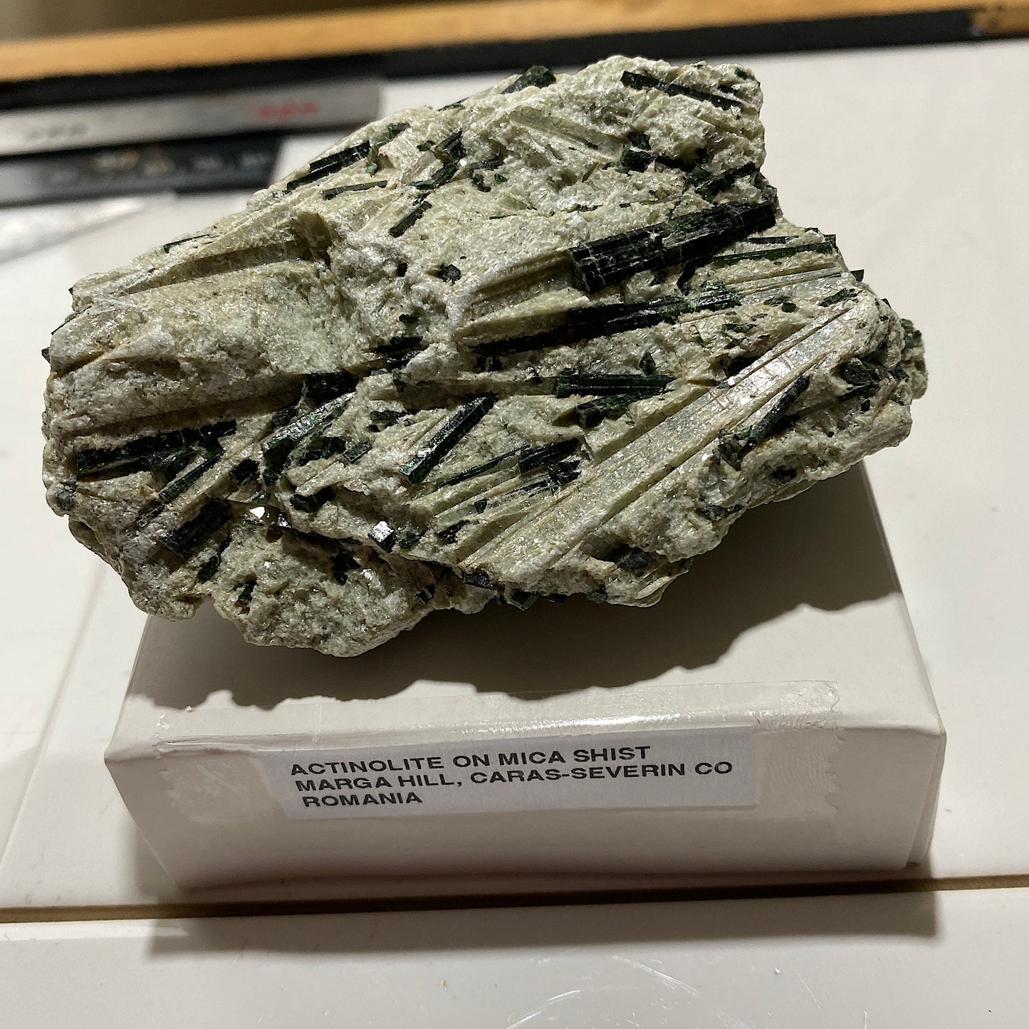 ACTINOLITE ON MICA SCHIST : MARGA HILL, CARAS-SEVERIN COUNTY, ROMANIA 232g MF4644
