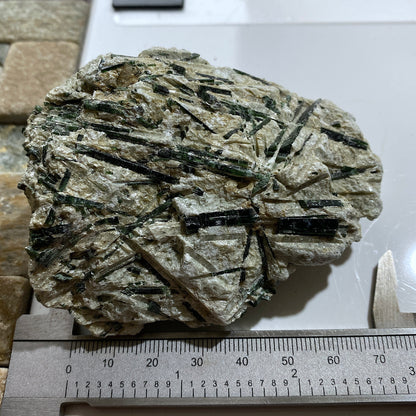 ACTINOLITE ON MICA SCHIST : MARGA HILL, CARAS-SEVERIN COUNTY, ROMANIA 232g MF4644