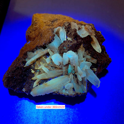 ARAGONITE ON MATRIX : CLEATOR MOOR IRON MINES, COPELAND, CUMBRIA. 144g MF5281