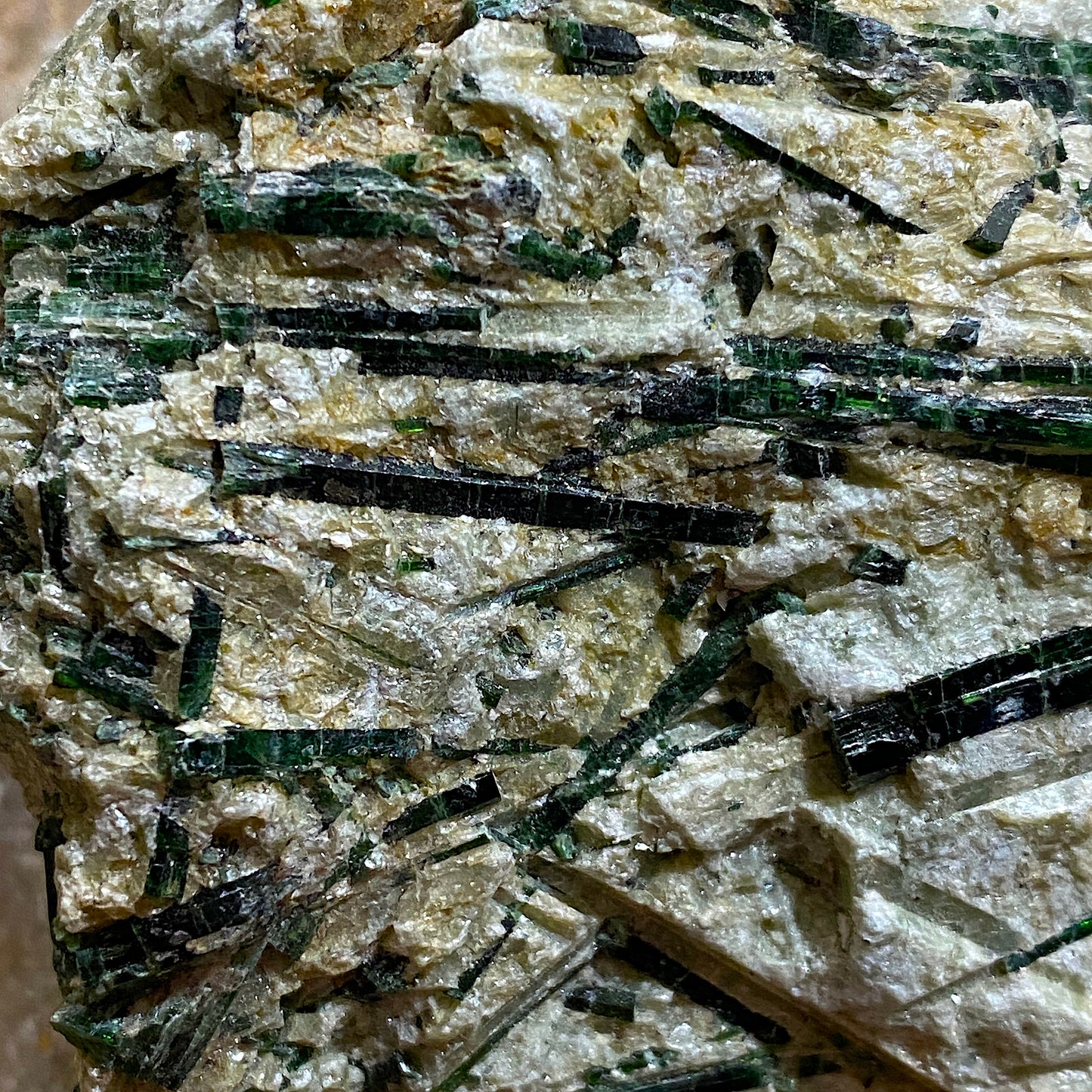 ACTINOLITE ON MICA SCHIST : MARGA HILL, CARAS-SEVERIN COUNTY, ROMANIA 232g MF4644