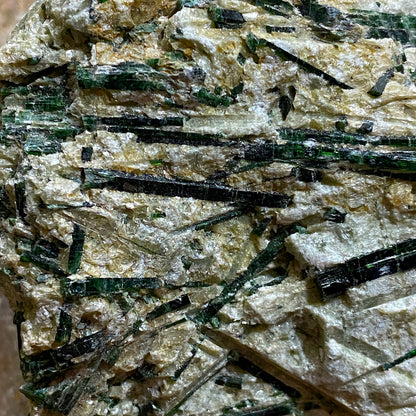 ACTINOLITE ON MICA SCHIST : MARGA HILL, CARAS-SEVERIN COUNTY, ROMANIA 232g MF4644