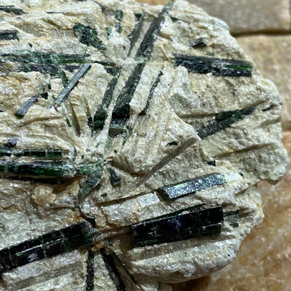 ACTINOLITE ON MICA SCHIST : MARGA HILL, CARAS-SEVERIN COUNTY, ROMANIA 232g MF4644