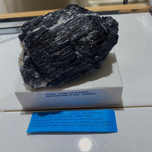 SCHORL TOURMALINE IN QUARTZ : BARTINNEY MINE, ST JUST, CORNWALL, ENGLAND  324g MF4608