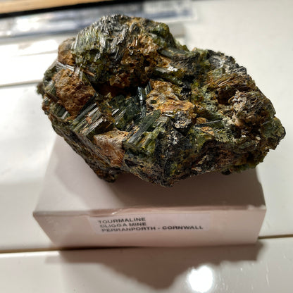TOURMALINE MULTIPLES IMPRESSIVE SPECIMEN : CLIGGA MINE, PERANPORTH, CORNWALL  213g MF5282