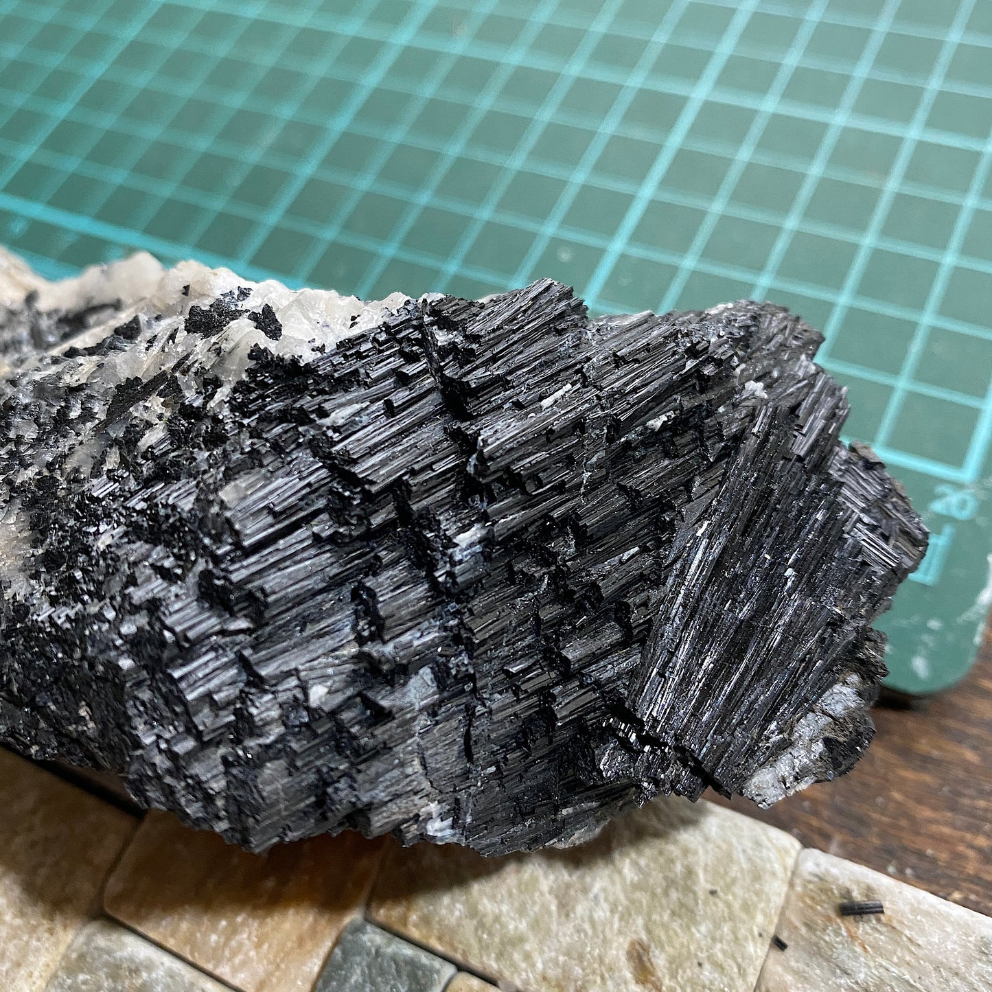 SCHORL TOURMALINE IN QUARTZ : BARTINNEY MINE, ST JUST, CORNWALL, ENGLAND  324g MF4608