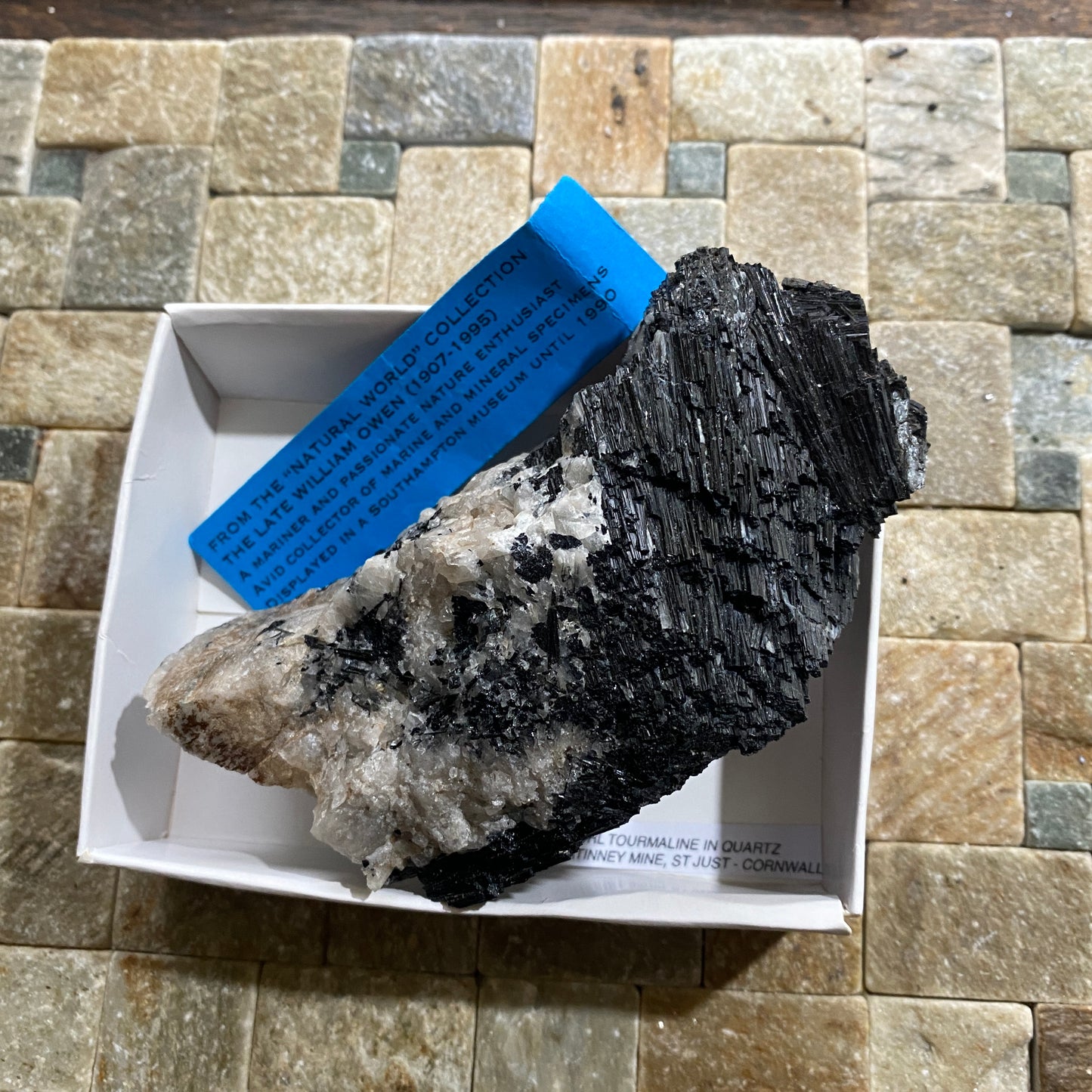 SCHORL TOURMALINE IN QUARTZ : BARTINNEY MINE, ST JUST, CORNWALL, ENGLAND  324g MF4608