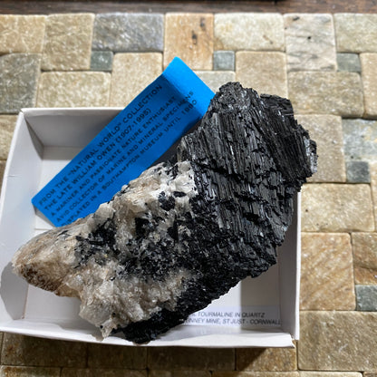 SCHORL TOURMALINE IN QUARTZ : BARTINNEY MINE, ST JUST, CORNWALL, ENGLAND  324g MF4608
