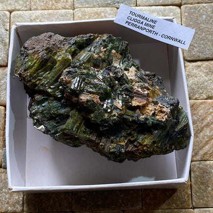 TOURMALINE MULTIPLES IMPRESSIVE SPECIMEN : CLIGGA MINE, PERANPORTH, CORNWALL  213g MF5282