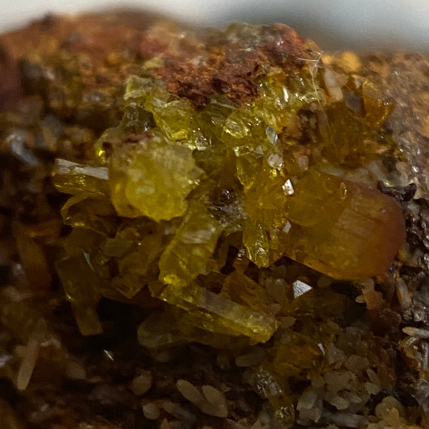 LEGRANDITE : OJUELA MINE, MAPIMI, MEXICO. MF4660