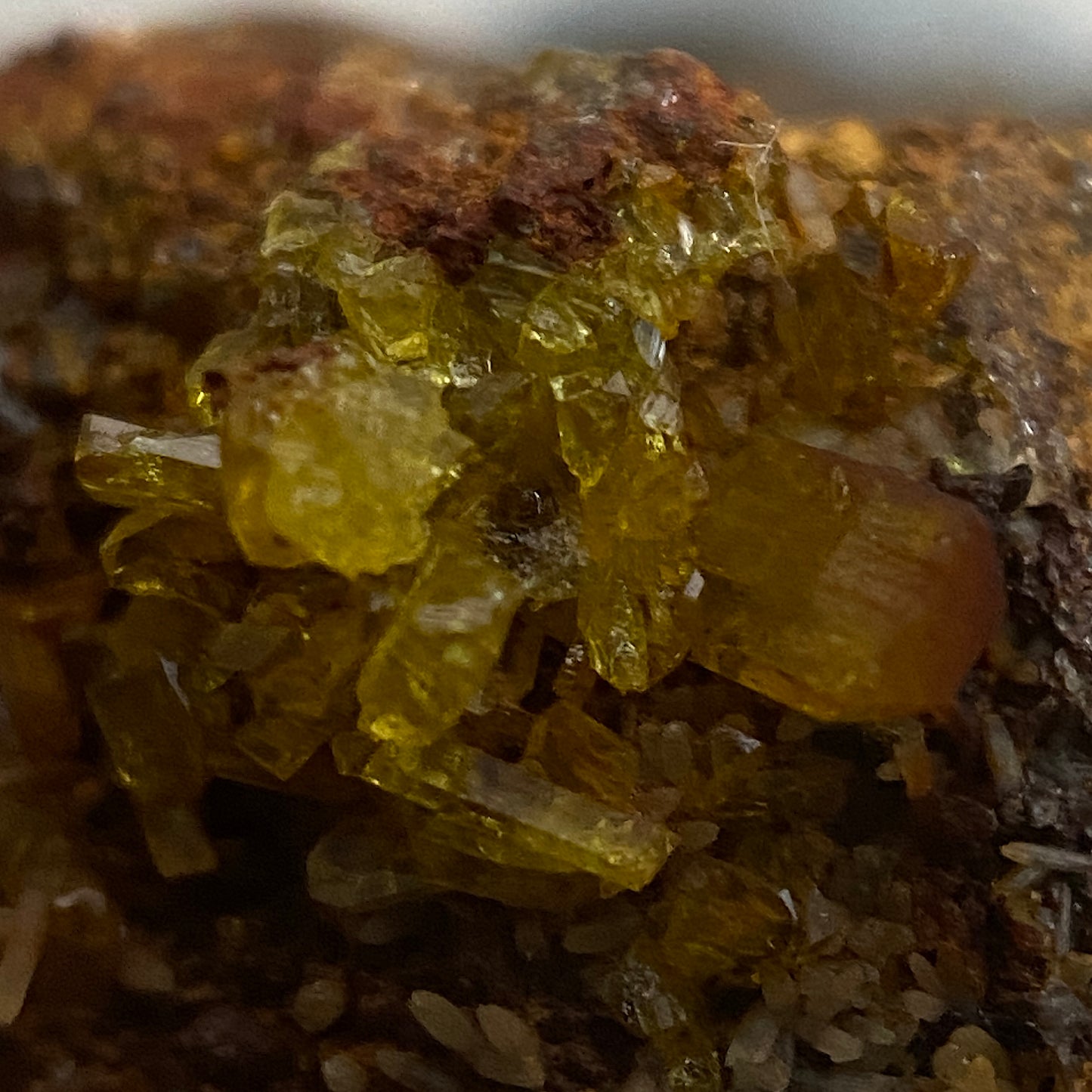LEGRANDITE : OJUELA MINE, MAPIMI, MEXICO. MF4660