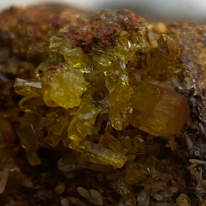 LEGRANDITE : OJUELA MINE, MAPIMI, MEXICO. MF4660