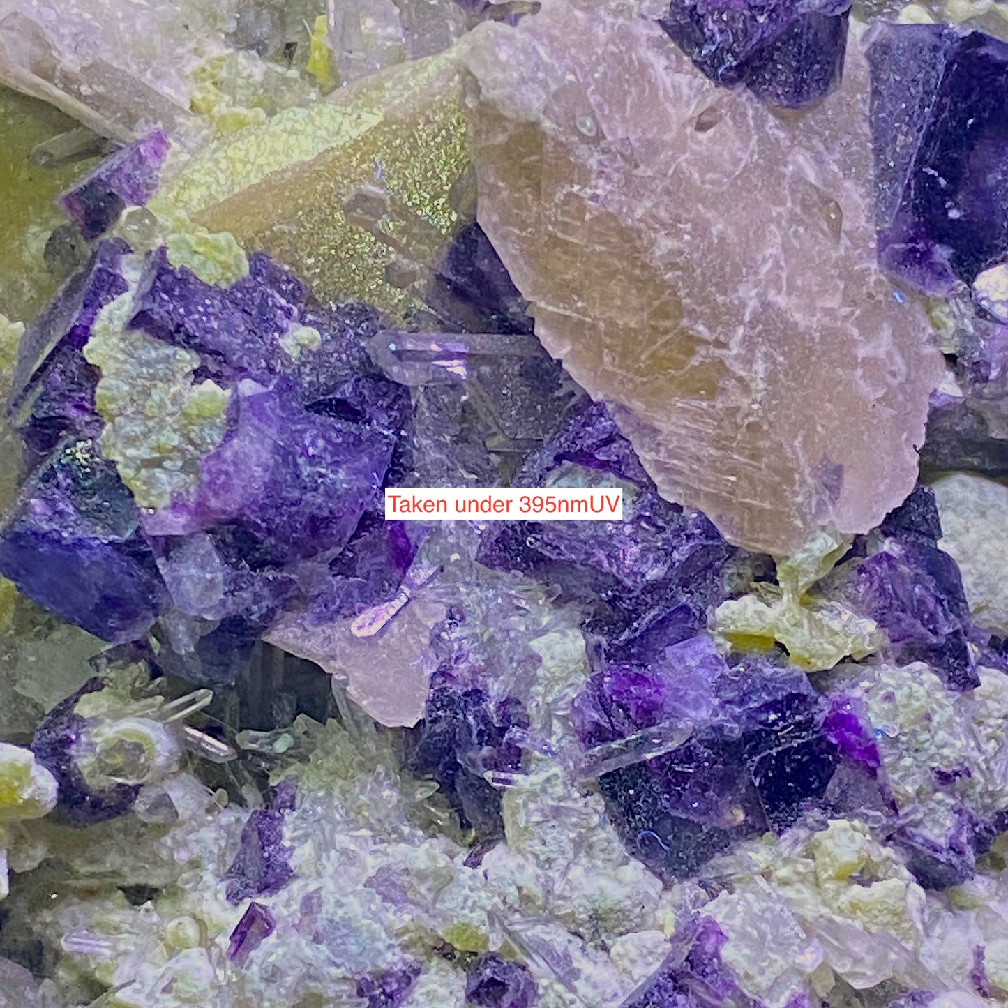 FLUORITE/BARYTE/CHALCOPYRITE [ETC] - DENTON MINE, ILLINOIS, U.S.A. LARGE 529g MF4458