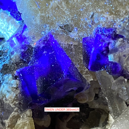 FLUORITE/BARYTE/CHALCOPYRITE [ETC] - DENTON MINE, ILLINOIS, U.S.A. LARGE 529g MF4458