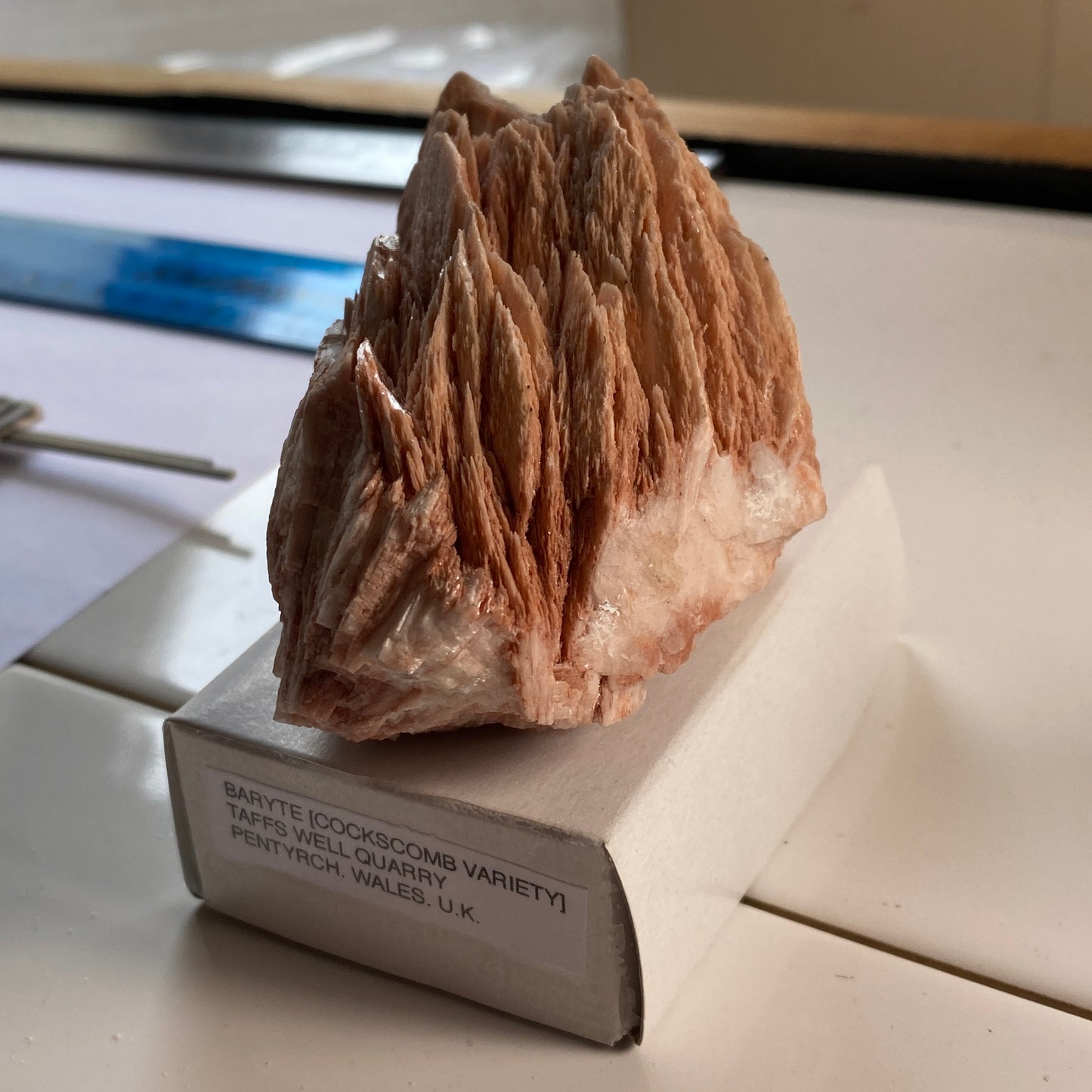 BARYTE  - "COCKSCOMB VARIETY" - TAFFS WELL QUARRY, WALES, U.K. 385g MF2082