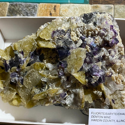 FLUORITE/BARYTE/CHALCOPYRITE [ETC] - DENTON MINE, ILLINOIS, U.S.A. LARGE 529g MF4458