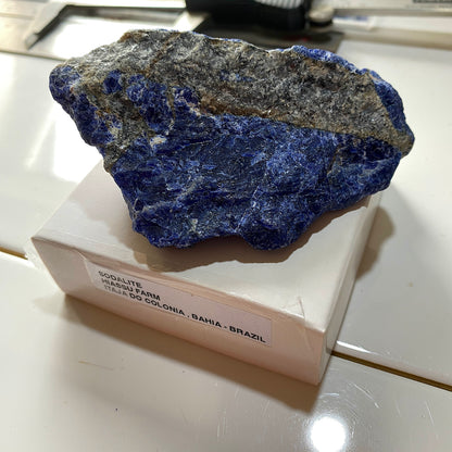 SODALITE : HIASSU FARM, ITAJA DO COLONIA, BAHIA, BRAZIL  146g MF5286