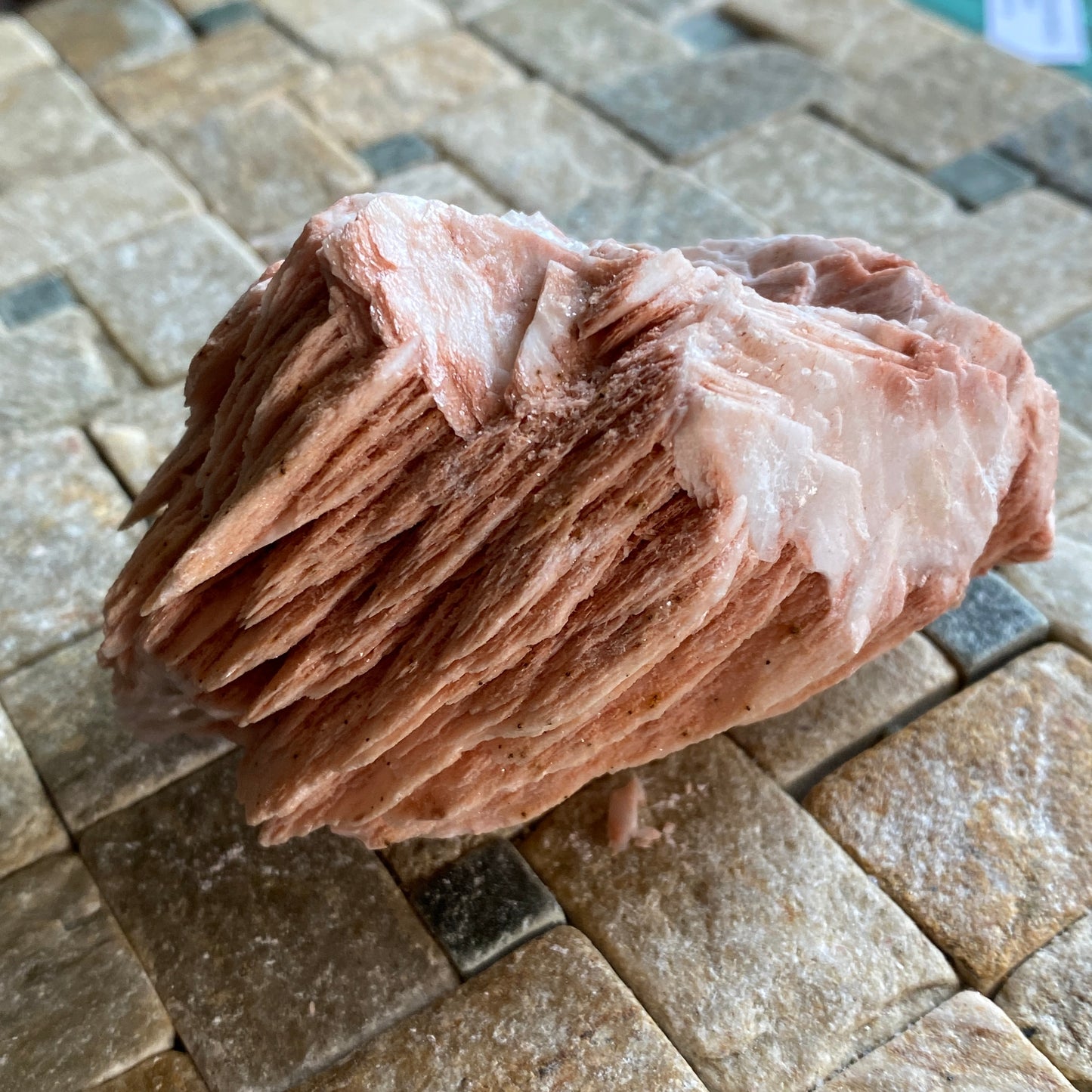 BARYTE  - "COCKSCOMB VARIETY" - TAFFS WELL QUARRY, WALES, U.K. 385g MF2082