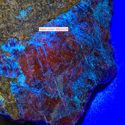 SODALITE : HIASSU FARM, ITAJA DO COLONIA, BAHIA, BRAZIL  146g MF5286