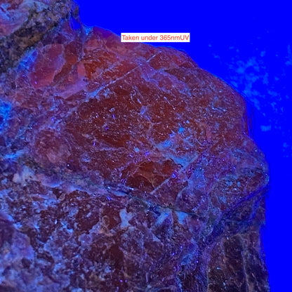 SODALITE : HIASSU FARM, ITAJA DO COLONIA, BAHIA, BRAZIL  146g MF5286