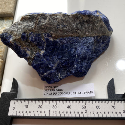 SODALITE : HIASSU FARM, ITAJA DO COLONIA, BAHIA, BRAZIL  146g MF5286