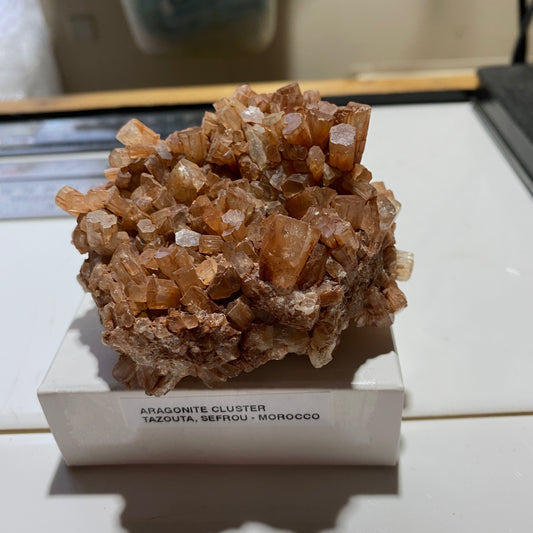ARAGONITE CLUSTER : TAZOOTA, SEFROU, ATLAS MOUNTAINS, MOROCCO 204g MF5287