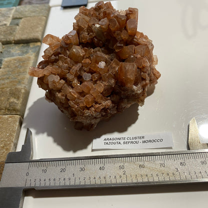 ARAGONITE CLUSTER : TAZOOTA, SEFROU, ATLAS MOUNTAINS, MOROCCO 204g MF5287