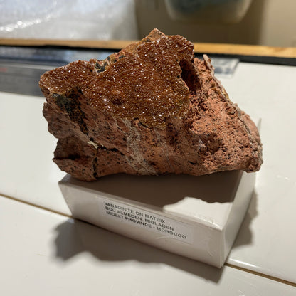 VANADINITE ON MATRIX : BOU ALMADEN, MIDELT PROVINCE, MOROCCO 226g MF5288