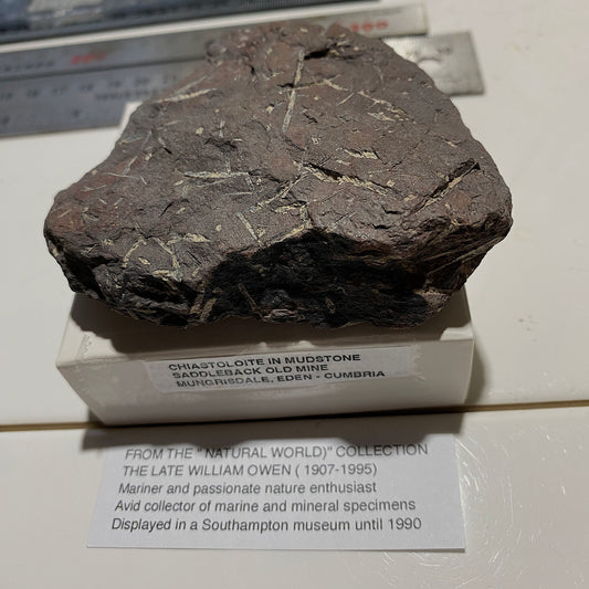 CHIASTOLITE IN MUDSTONE : SADDLEBACK OLD MINE, MUNGRISDALE, EDEN, CUMBRIA 195g MF5289