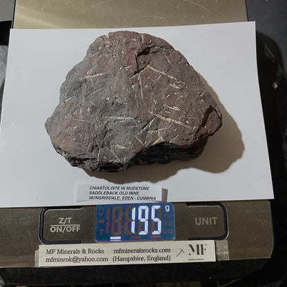 CHIASTOLITE IN MUDSTONE : SADDLEBACK OLD MINE, MUNGRISDALE, EDEN, CUMBRIA 195g MF5289