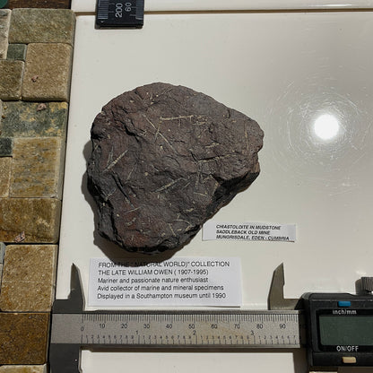CHIASTOLITE IN MUDSTONE : SADDLEBACK OLD MINE, MUNGRISDALE, EDEN, CUMBRIA 195g MF5289