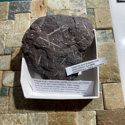 CHIASTOLITE IN MUDSTONE : SADDLEBACK OLD MINE, MUNGRISDALE, EDEN, CUMBRIA 195g MF5289