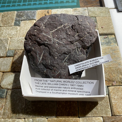 CHIASTOLITE IN MUDSTONE : SADDLEBACK OLD MINE, MUNGRISDALE, EDEN, CUMBRIA 195g MF5289