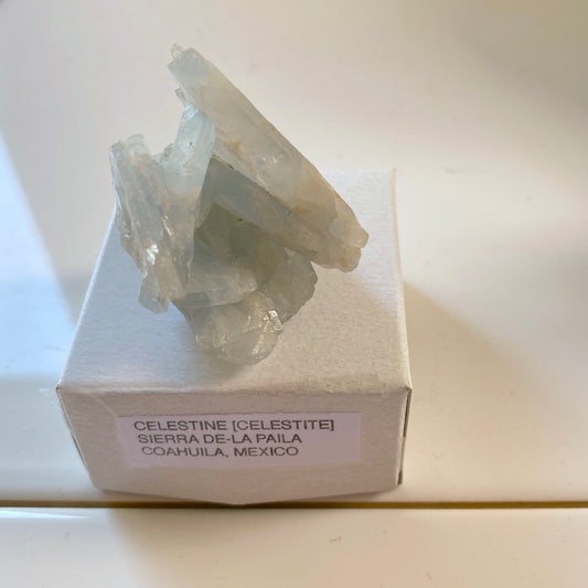 CELESTITE CRYSTAL ASSEMBLAGE - SIERRA DE-LA PAILA, MEXICO. 54g MF2085